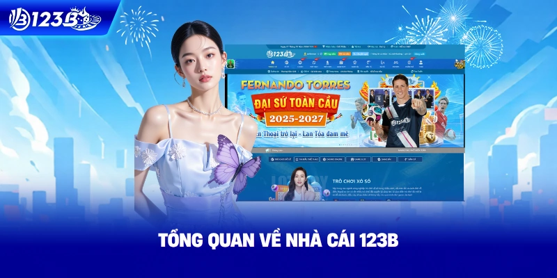 Tổng Quan Về Điều Khoản Và Điều Kiện 123B